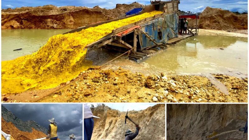 Explore the world of gold mining extensively once a week (great value)