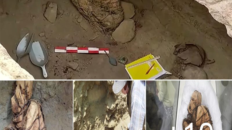 An at least 800-year-old Peruvian mummy was discovered by archaeologists in Lima