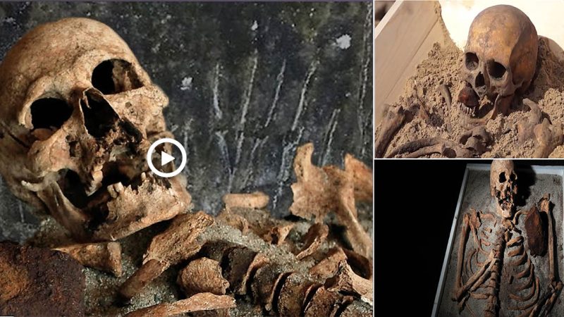 Vampire Skeletons are Said to Have Been Trapped FOR Decades