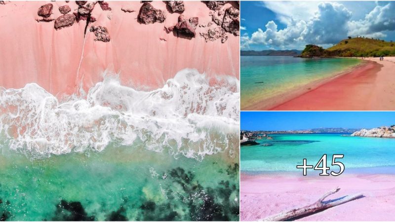 The Pink Beach of Italy