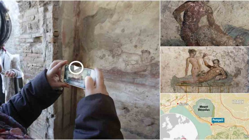 The raunchy services offered in ancient Roman brothels 2,000 years ago are revealed in Pompeii wall paintings