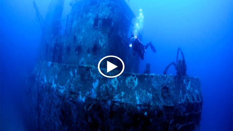 “Sunken Secrets: Divers Uncover Shipwreck Treasures in Papua New Guinea’s Coral Sea”