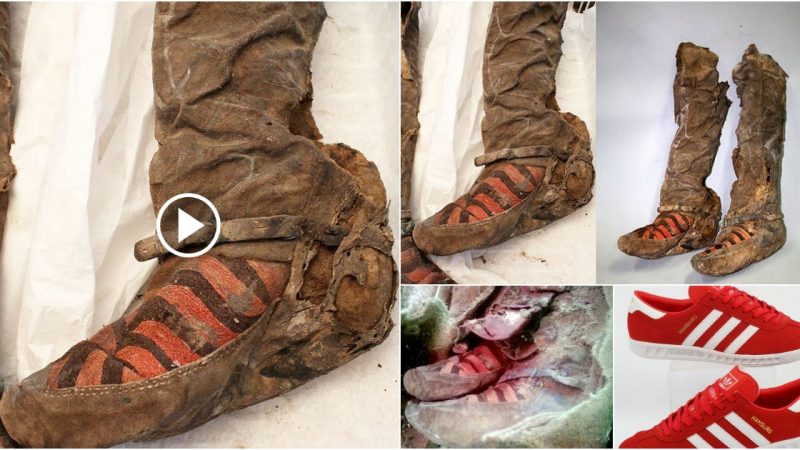 A 1,500-year-old mummy was discovered wearing shoes that resembled Adidas sneakers. A 1,500-year-old mummy was discovered wearing shoes that resembled Adidas sneakers. The objects that were found all dated back to the 6th century