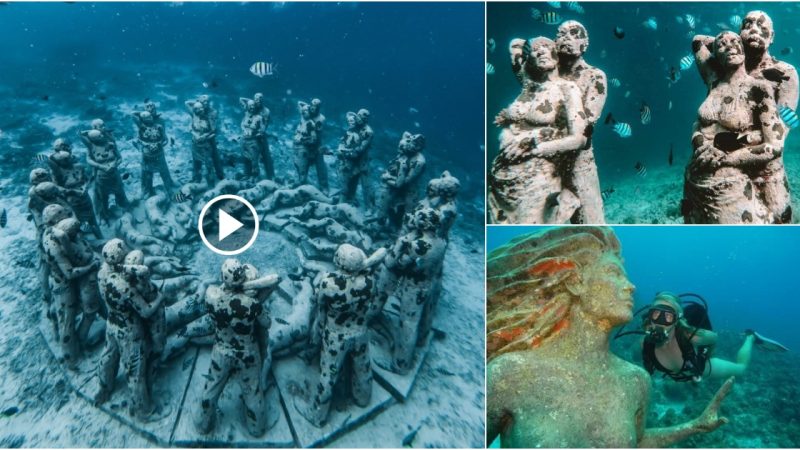 Incredible find: massive Roman city submerged in the ocean.