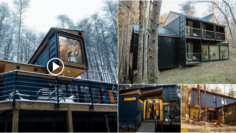 Go inside a phenomenally popular shipping container house created by a couple and rented on Airbnb for about $430 per night.