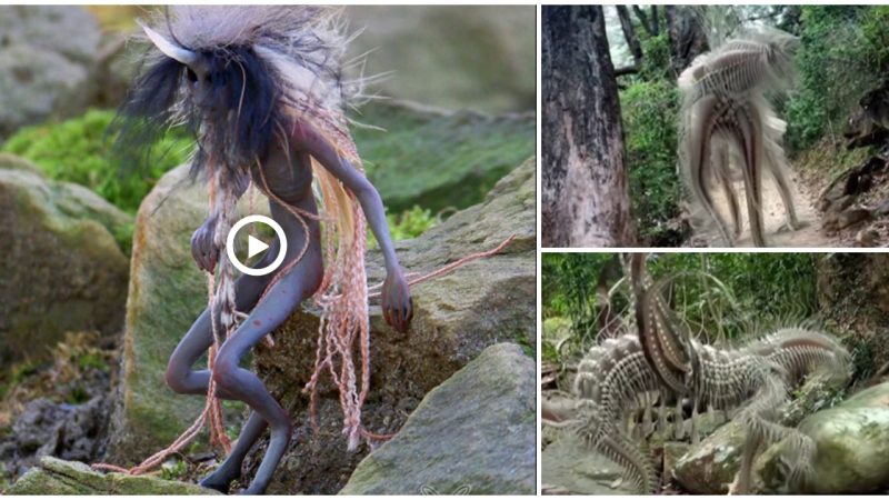 A weird hairy creature resembling a titan was seen on camera entering the woodland