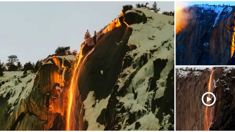 A Waterfall in Yoseмite National Park Turns Into a Blazing “Firefall” Once a Year