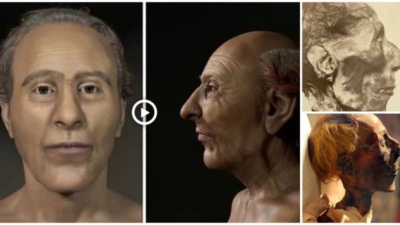 In a remarkable 3D reconstruction, the legendary Egyptian pharaoh Ramesses II is brought back to life