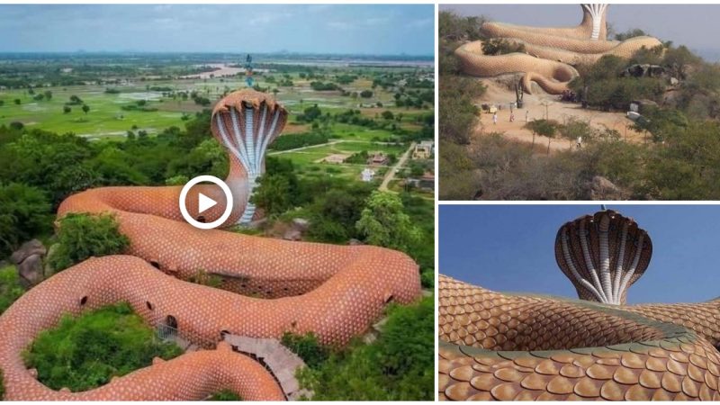 The temple is dedicated to Lord Shiva and is famous for its unique architecture, which resembles a coiled serpent with seven heads