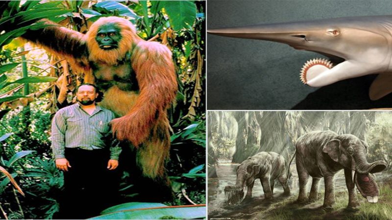 7 Bizarre Prehistoric Versions of Modern-Day Animals