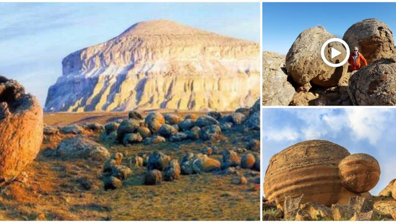 Giant stone eggs thousands of years old mysteriously found in Kazakhstan