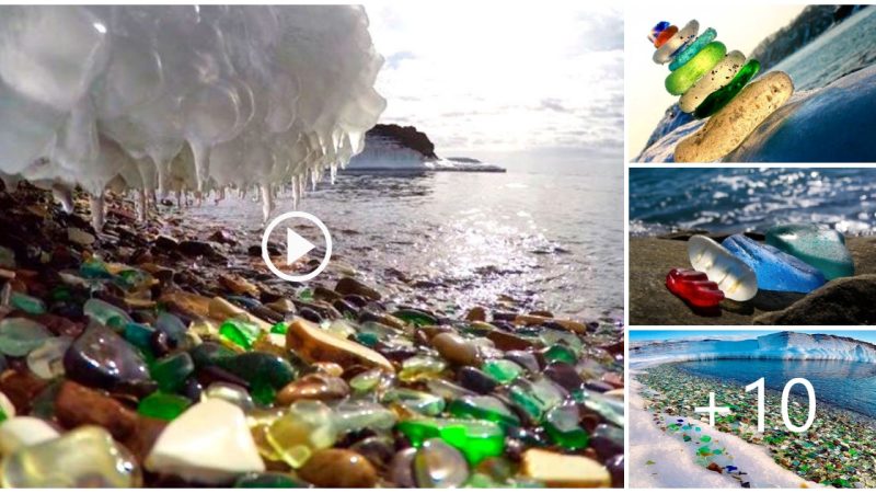 Glass Beach in Ussuri Bay: A Must-Visit Destination for Nature Lovers