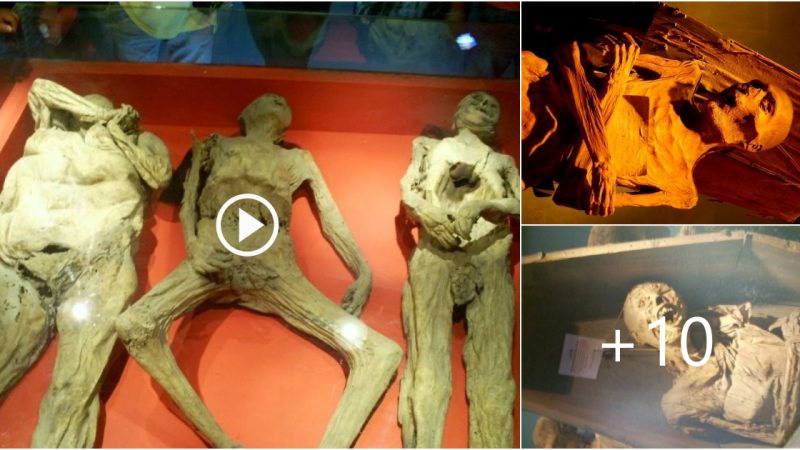 The Mystery Of The Mummies Of Guanajuato. Sad Mexican History