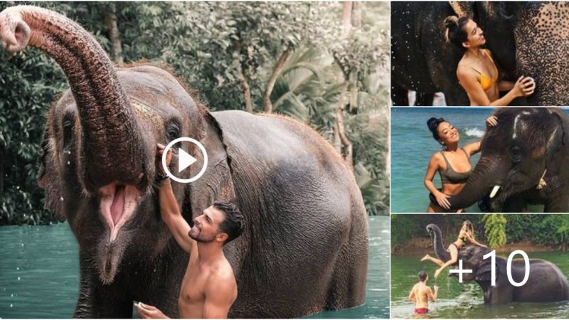 Adorable Moment! The Elephant Bathing Together with Everyone