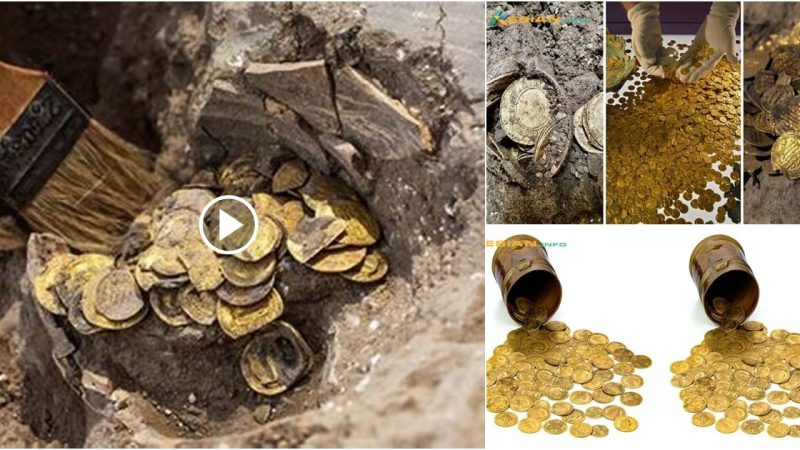 While remodeling the kitchen of their North Yorkshire house, a couple discovers gold coins worth £250,000.