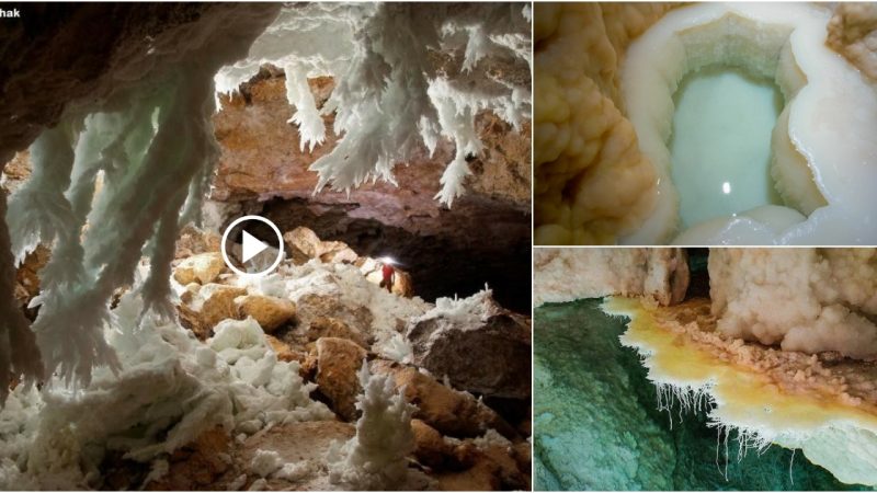 Fantastic ‘Virgin’ Pool Never Seen by Humans Found Deep in New Mexico Cave.