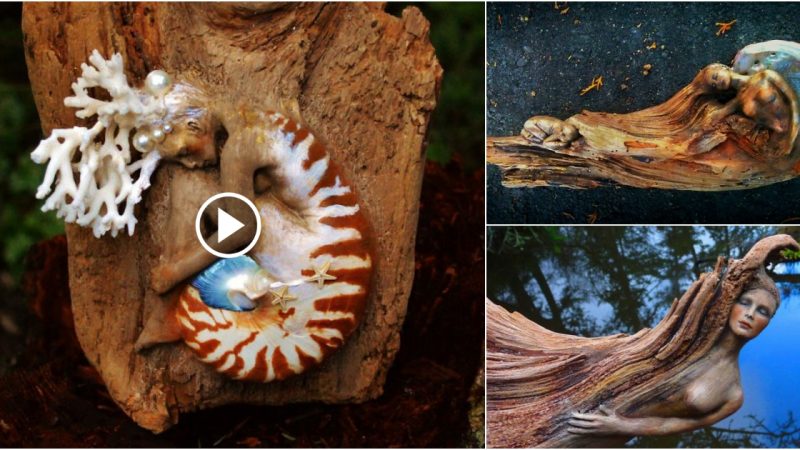 Stunning Driftwood Sculptures Tell The Forgotten Ocean Stories.