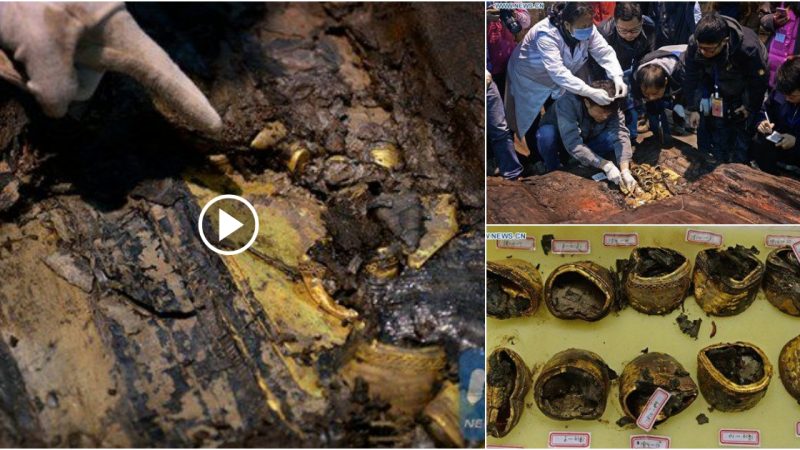 Hundreds of ‘golden cakes’ were discovered in the ancient tomb of the dethroned ruler.