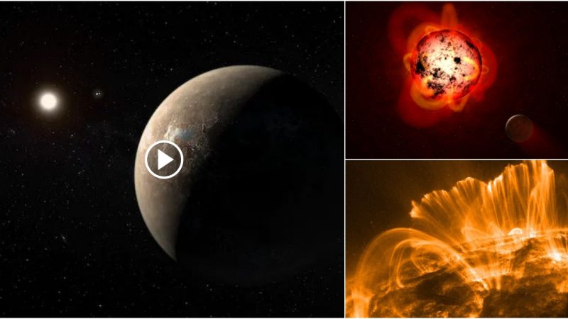 Astronomers just measured the largest flare ever from Proxima Centauri, humanity’s closest neighboring star. These flares could be bad news for life trying to develop on a planet orbiting the star.