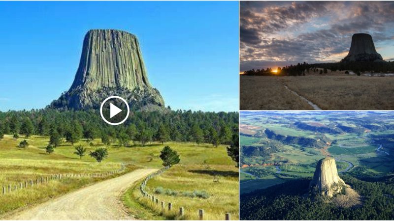 “Devils Tower: A Majestic Rock Formation in Wyoming Black Hills”