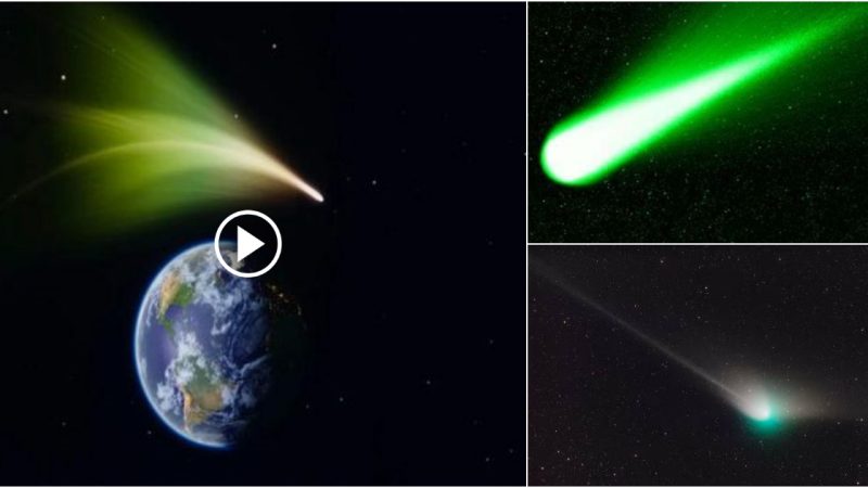 Australia is now getting a last-chance look at a green comet that hasn’t been seen in 50,000 years.