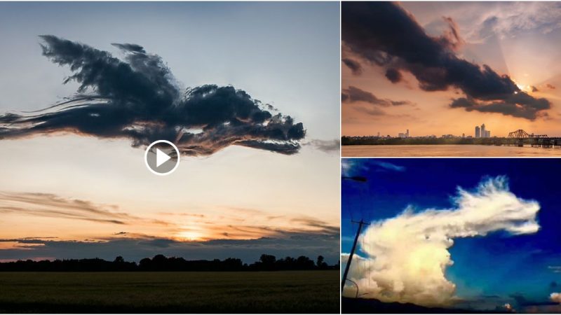 What does it indicate when the Cloud Dragon emerges in the skies of the United States?