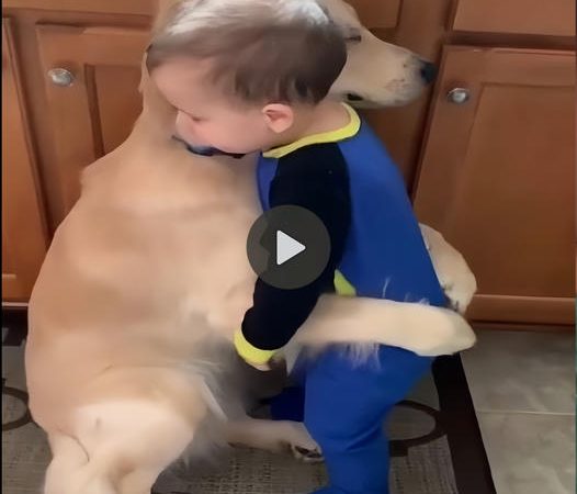 Loving Companion: Dog Hugs Baby to Comfort During Sad Times After Being Scolded by Mother