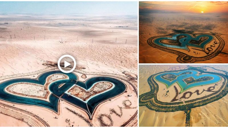 Natural wonder bestows the Lake of Love: a peaceful paradise in the heart of the Dubai desert