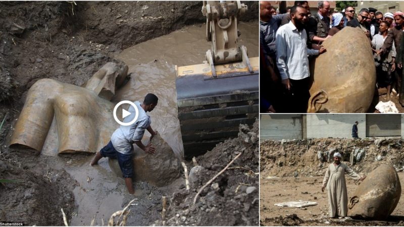 Incredible scenes from the discovery of a statue of Pharaoh Ramesses II in Heliopolis (2017).