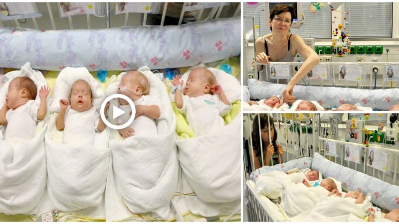 65-year-old mother gave birth to 4 by normal phylogenetic method and 13 years apart