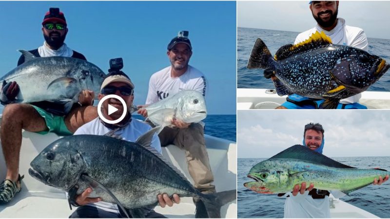 First selection from the last tour around the Moucha & Maskali islands.