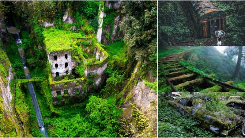 Forgotten human civilization is engulfed in moss and grass after hundreds of years