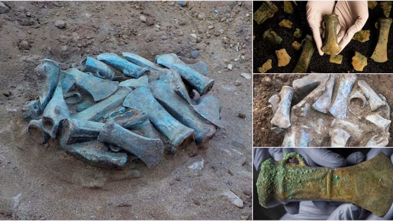 Huge Bronze Age treasure hoard found in east London.