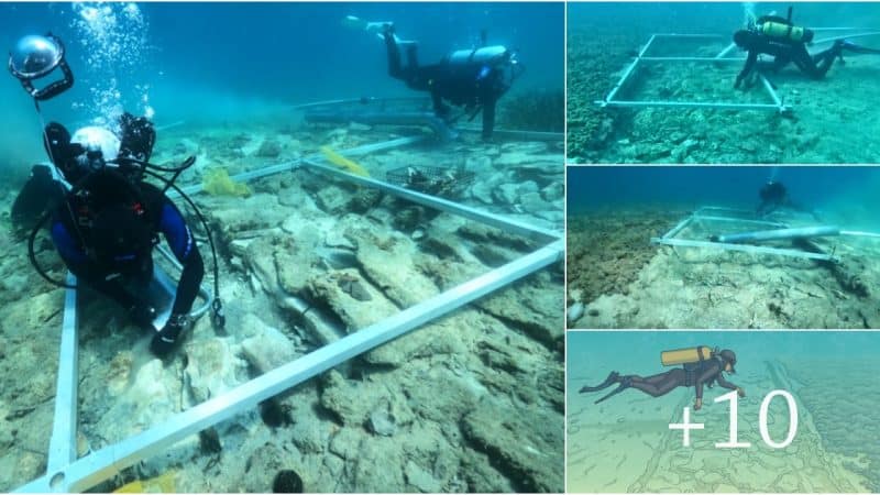 Traces of a 7,000-year-old stone road were discovered at the underwater site of Soline in the Adriatic Sea off the coast of Croatia.