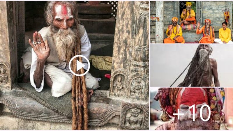 The Enigmatic Sadhu: Long-Dreadlocked Holy Men at Pashupatinath Temple in Nepal