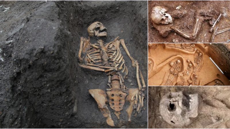 Ancient Bones Unearth Compassionate Story: Insights into a Stone Age Community’s Care for the Vulnerable