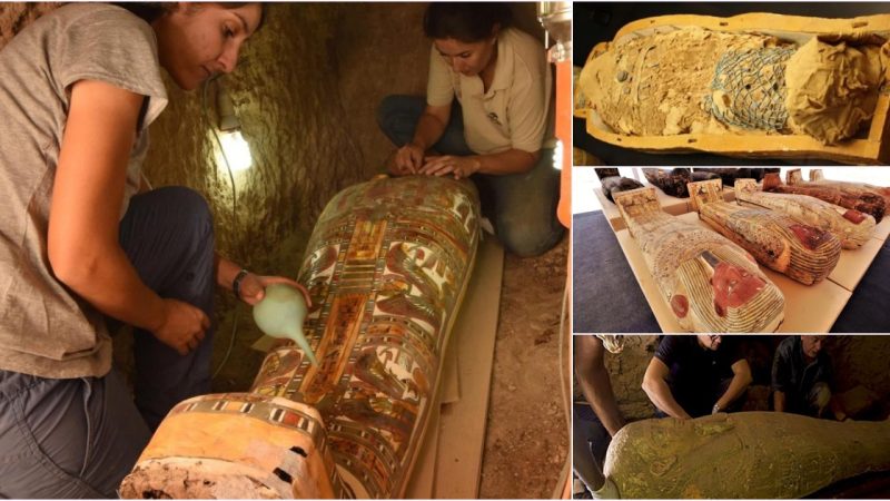 Archaeologists Unearth 2,800-Year-Old Sarcophagus of an Ancient Court Advisor near Pharaonic Temple