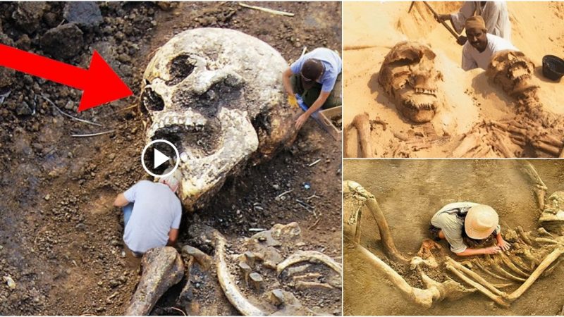 The Nephilim enigma behind the enormous skeletons discovered is true!