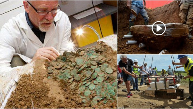 “30 Years of Searching Pays Off: Metal Detectorist Duo Uncovers £10 Million Hidden Silver Hoard. An Exclusive Interview with Reg on Their Remarkable Journey”