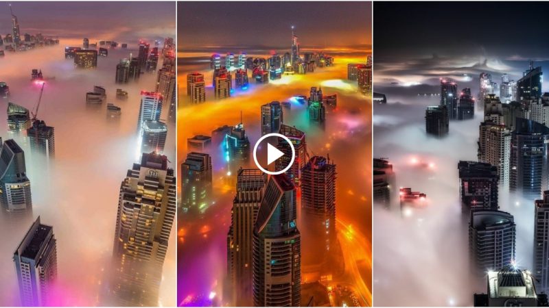 How beautiful is Dubai covered in fog at night.