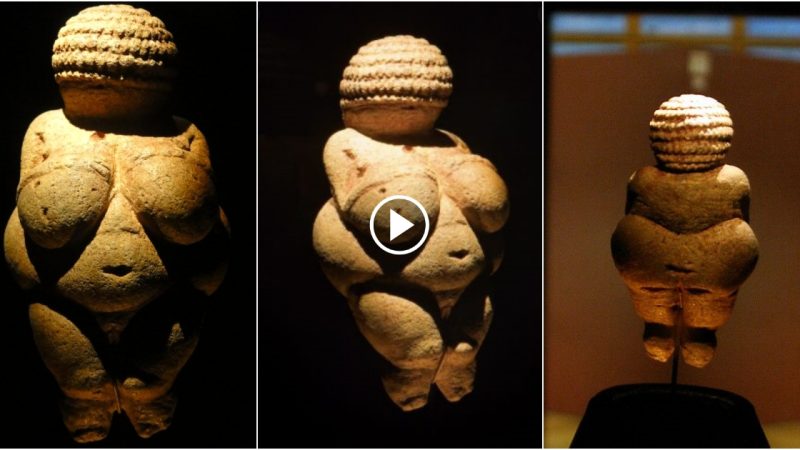 Willendorf’s Enigmatic Venus: Early European Art and Its Origins.