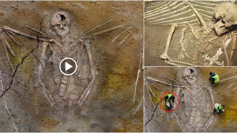 Archaeologists Discovered Giant Skeleton With Enormous Wings, Raising the Possibility That Angel Once Visited Earth.