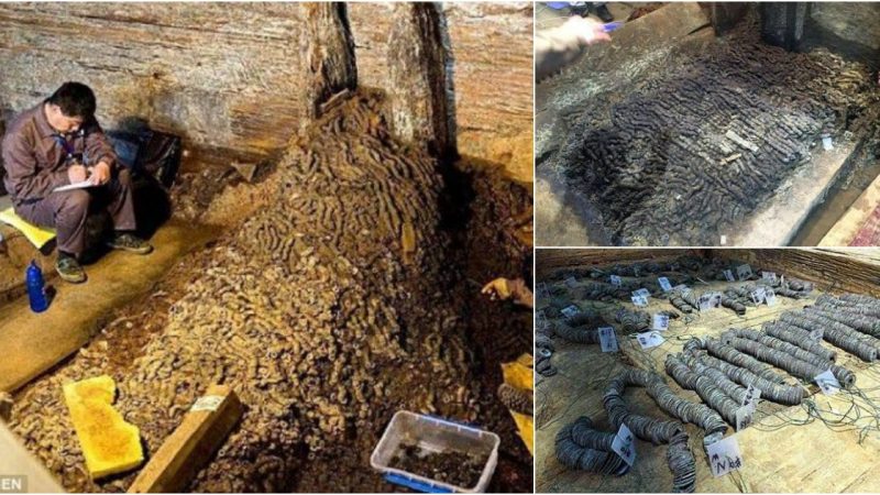 Two million copper coins weighing 10 tonnes found inside 2,000-year-old tomb.