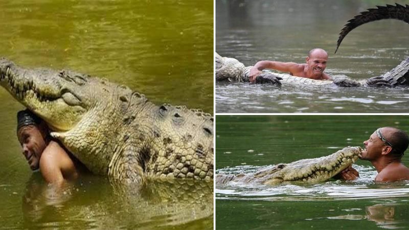 A fisherman in Costa Rica nursed a crocodile back to health after it had being shot in the head & released the reptile back to its home. The next day, the man discovered “Pocho” had followed him home & was sleeping on the mans porch. For 20yrs Pocho became part of the mans famil