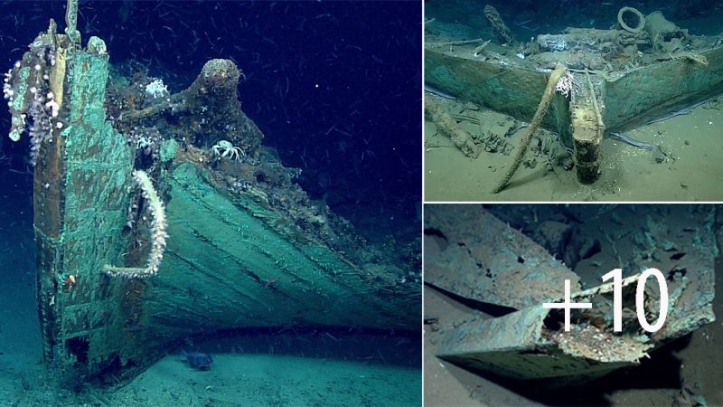 Discover the cursed shipwreck in the Gulf of Mexico Americans should know