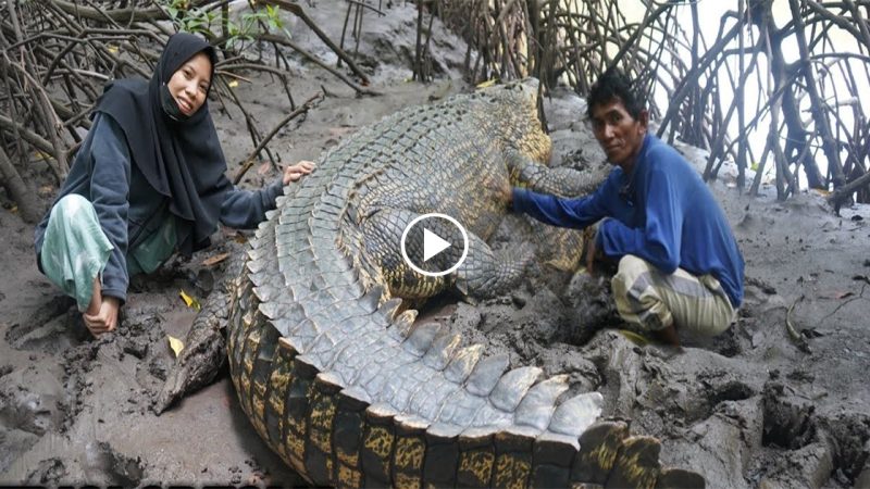 Fisherman, 59, Befriends a 4-Meter Crocodile for Nearly 30 Years .L