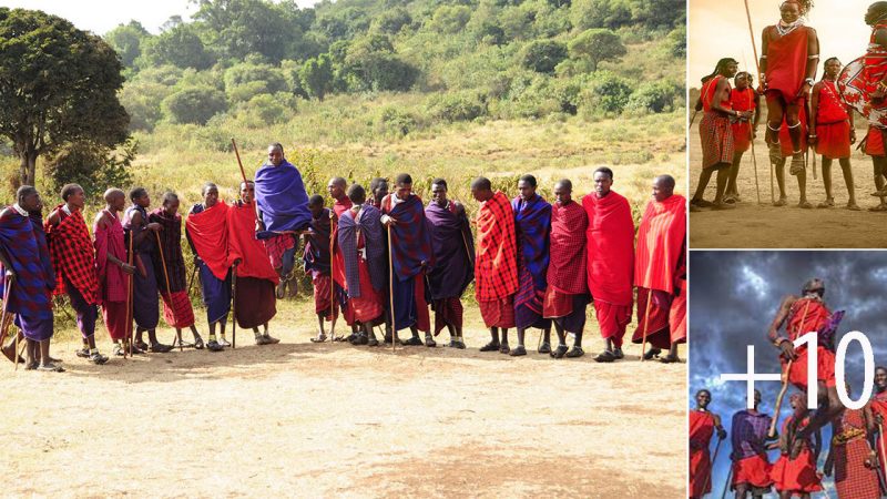 Preserving Cultural Identity: The Energetic Youth Jumping Dance of the Masai