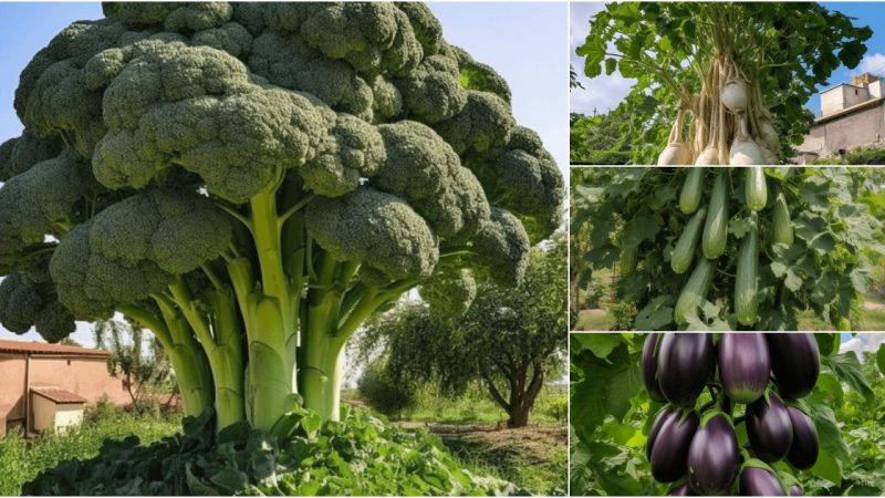 A Paradigm Shift: Towering Trees Yield Abundant Traditionally Ground-Growing Fruits and Vegetables