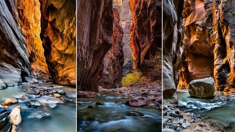 The Majestic Beauty of The Narrows in Zion National Park, Utah, USA