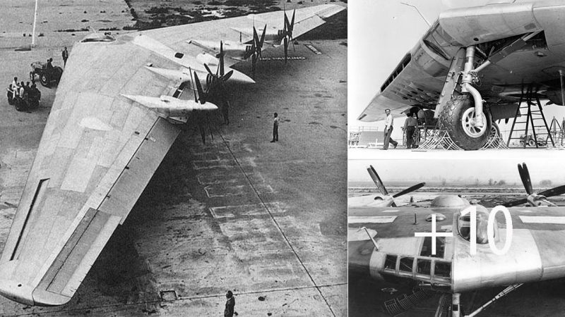 Northrop XB-35: The Revolutionary Flying Wing Bomber of World War II